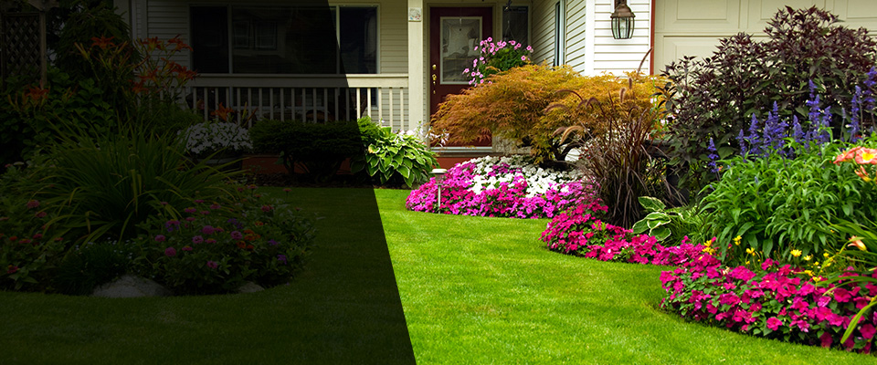 Papillion Landscapers
