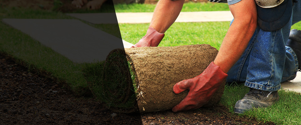 Papillion Landscapers